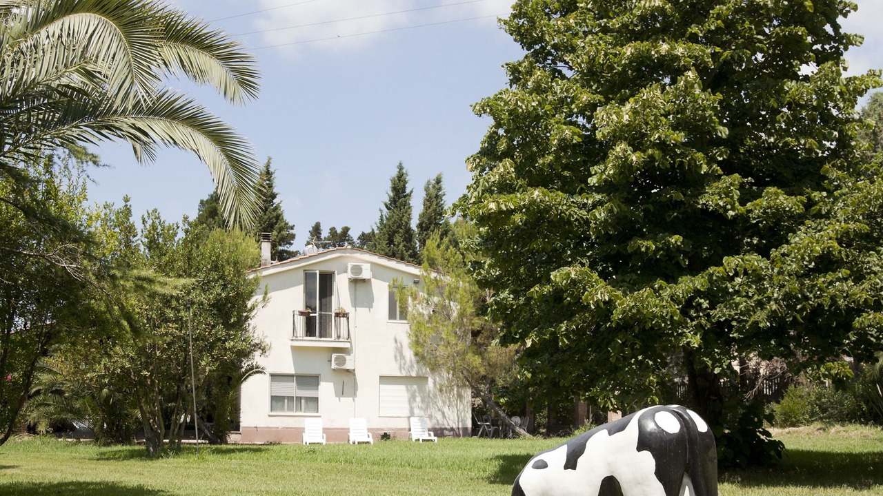 Photo of Outdoor in Maida