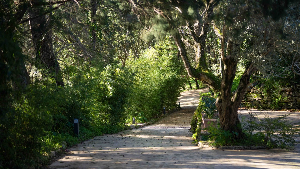 Photo of Outdoor in Maida
