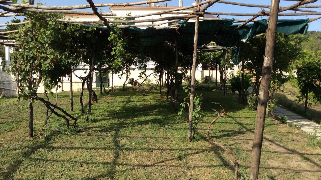 Photo of Outdoor in Torre del Greco