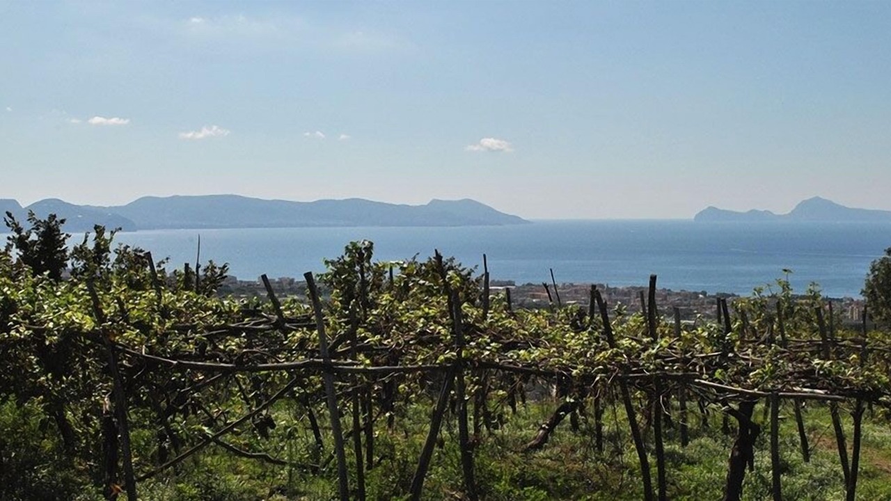 Photo of Outdoor in Torre del Greco