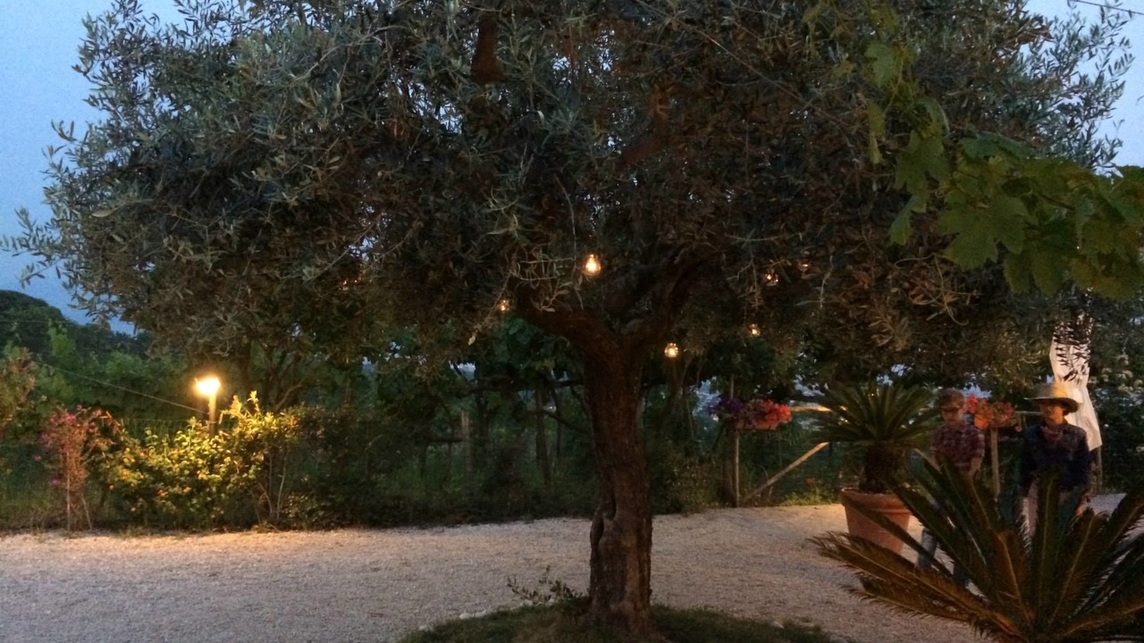 Photo of Outdoor in Torre del Greco