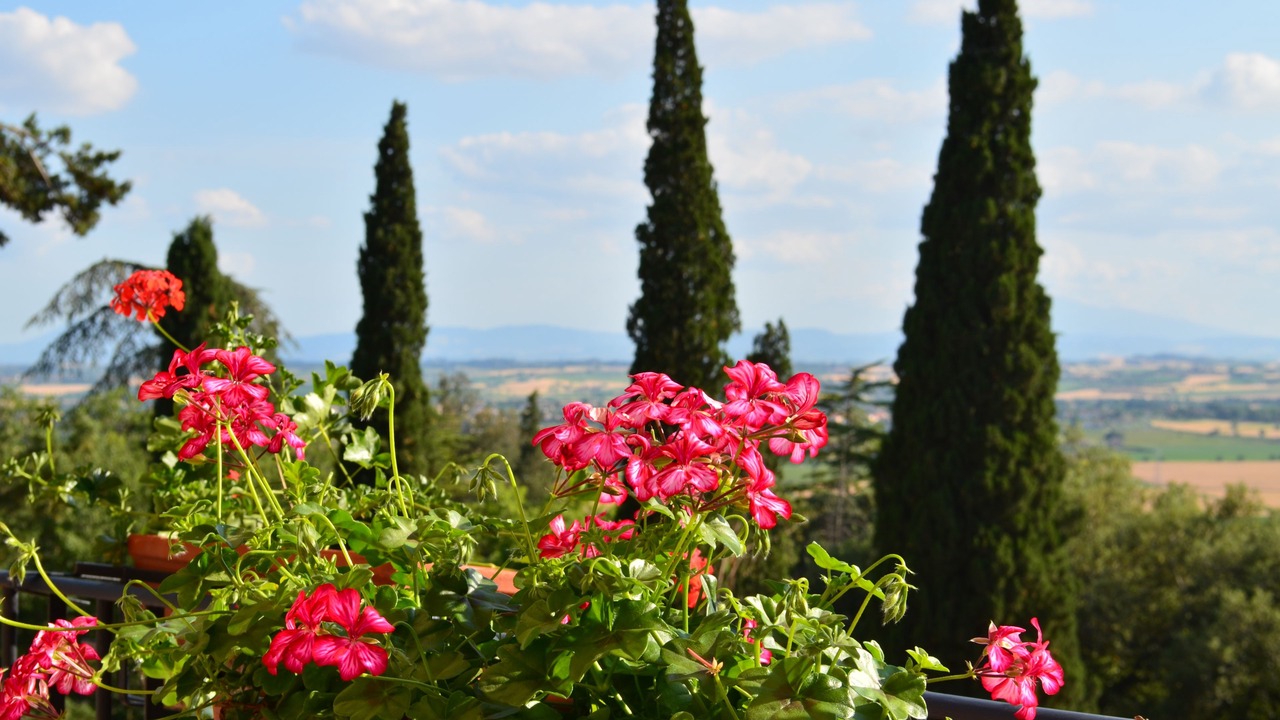 Photo of Others in Montecchio