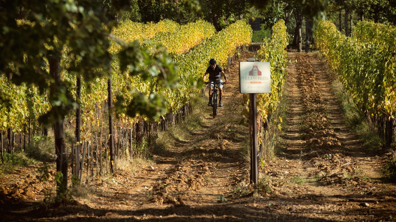 Photo of Others in Montalcino