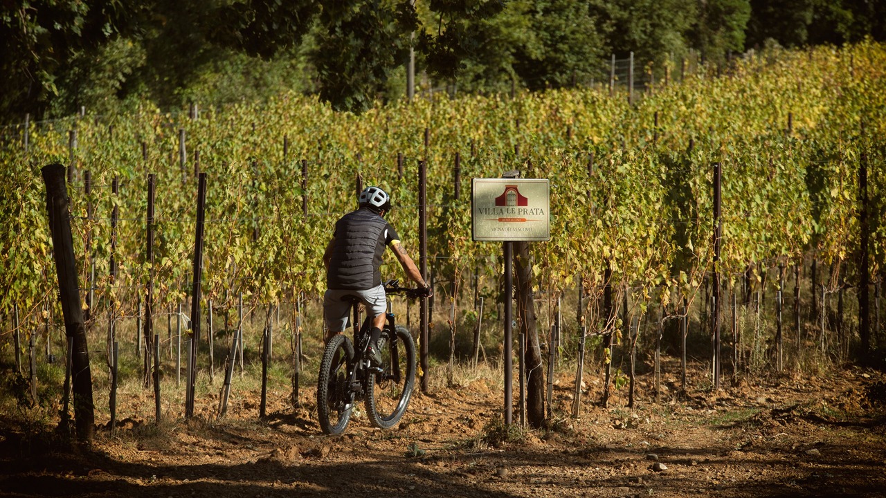 Photo of Others in Montalcino