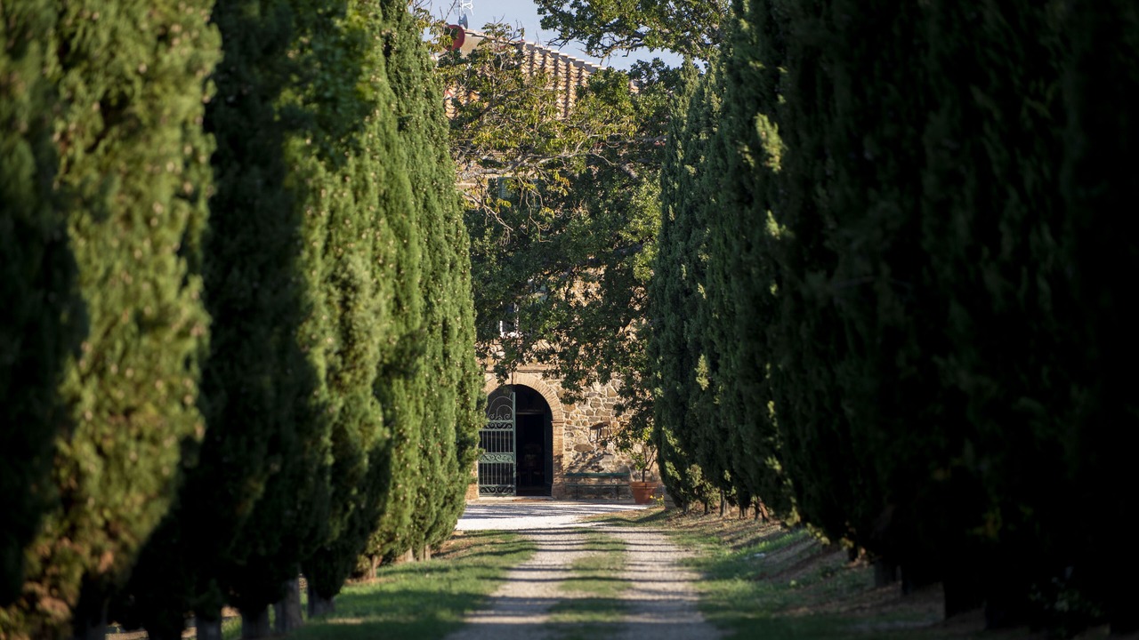 Photo of Outdoor in Montalcino