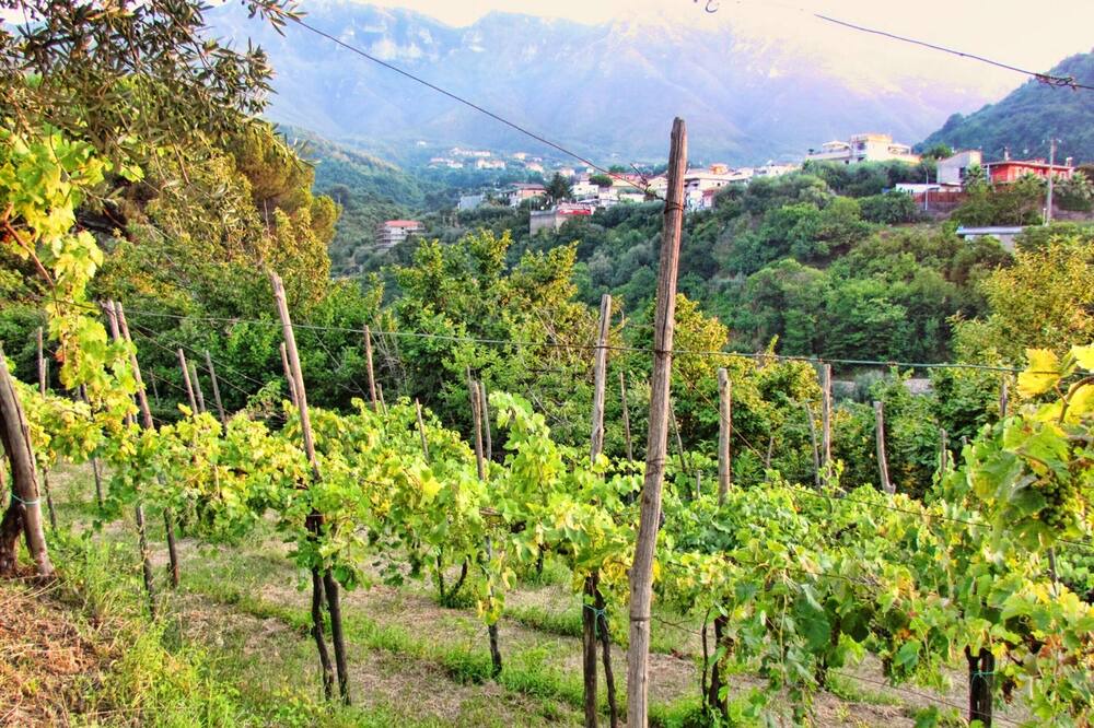 Photo of Outdoor in Gragnano