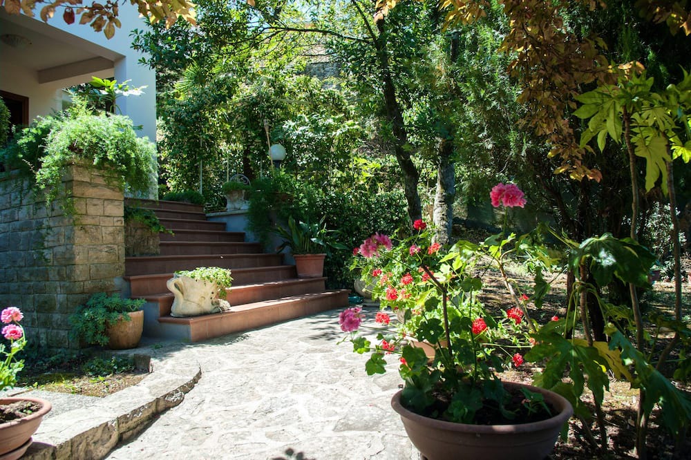 Photo of Outdoor in Amelia