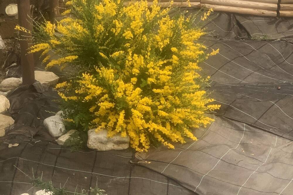Photo of Outdoor in Civitaquana