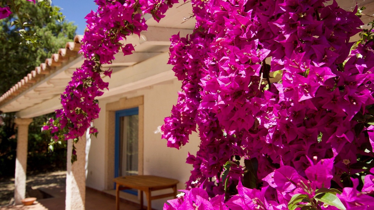 Photo of Outdoor in Rudalza