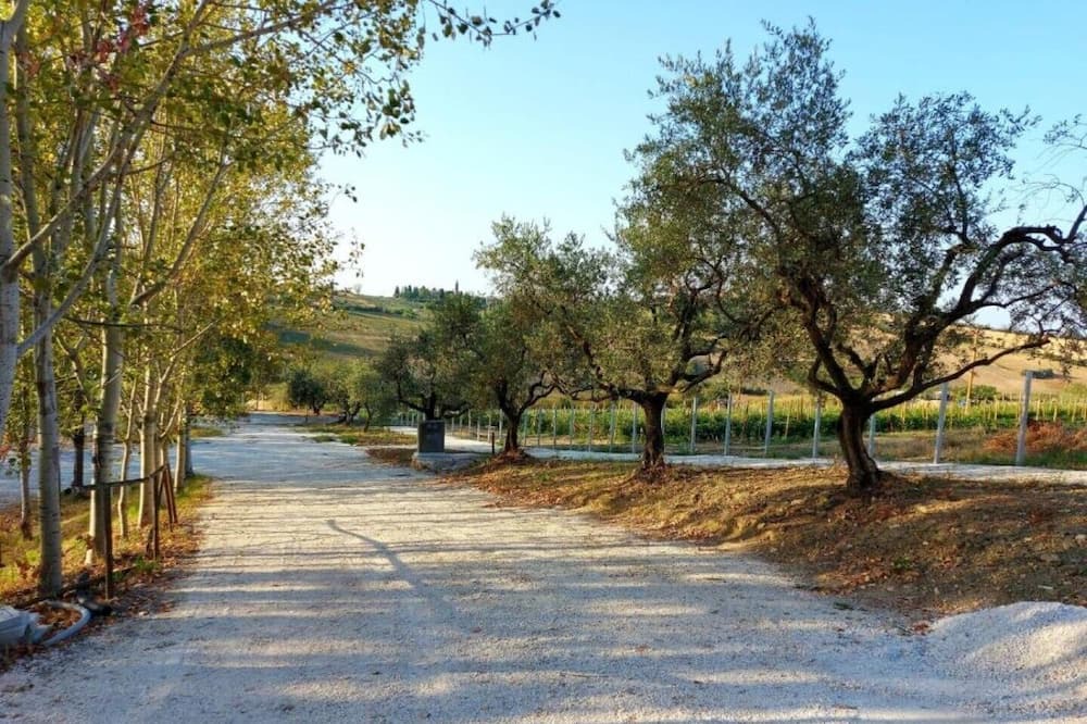 Photo of Outdoor in Patrignano