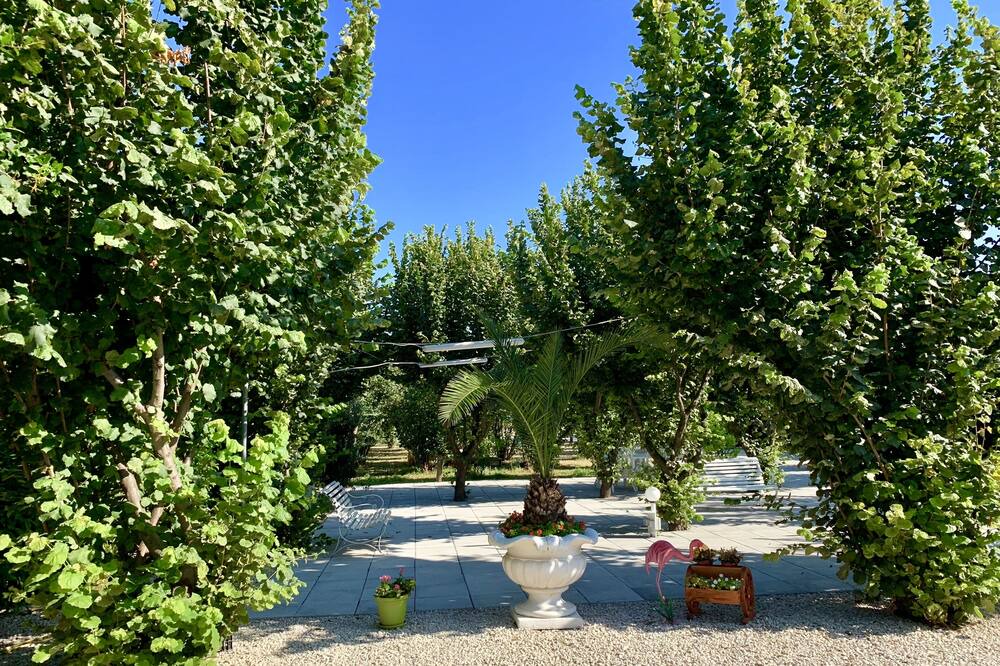 Photo of Outdoor in Pompei