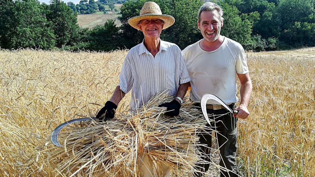Photo of Others in Foiano della Chiana