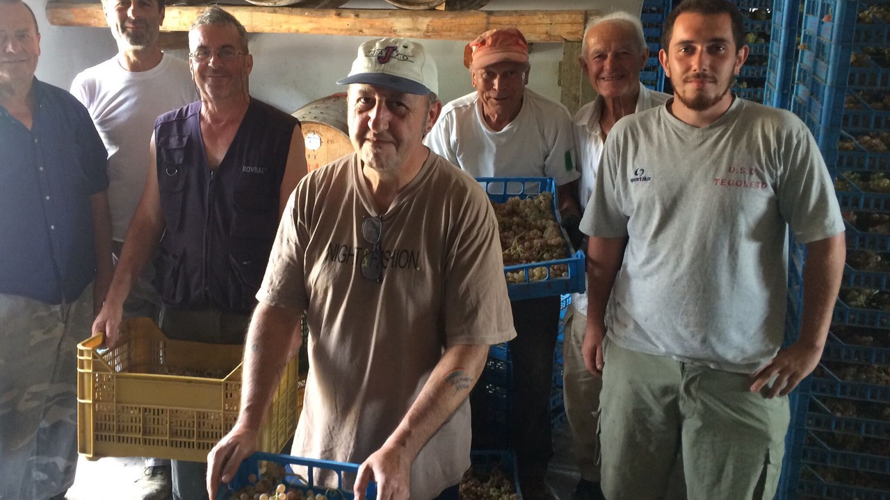 Photo of Others in Foiano della Chiana