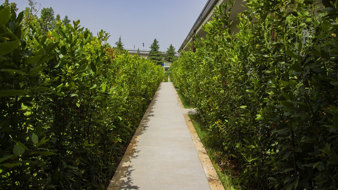Photo of Outdoor in Piedimonte San Germano