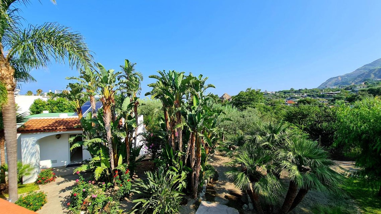 Photo of Outdoor in Forio