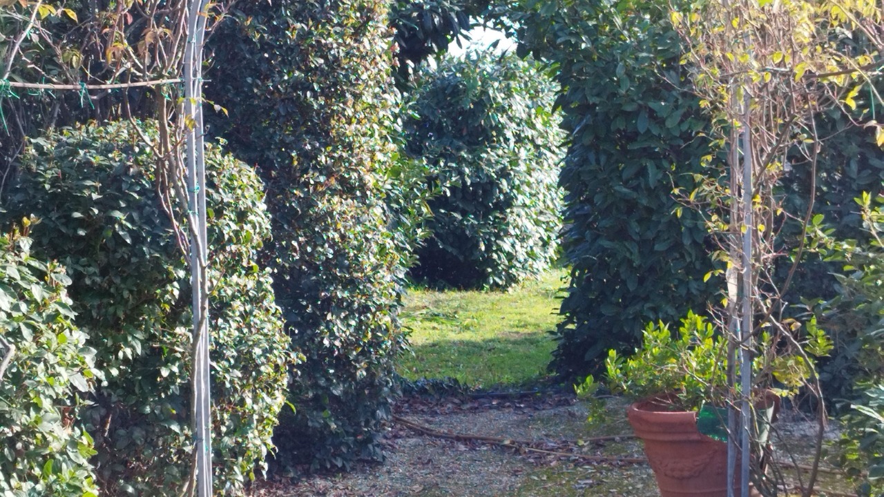 Photo of Outdoor in Cisterna di Latina