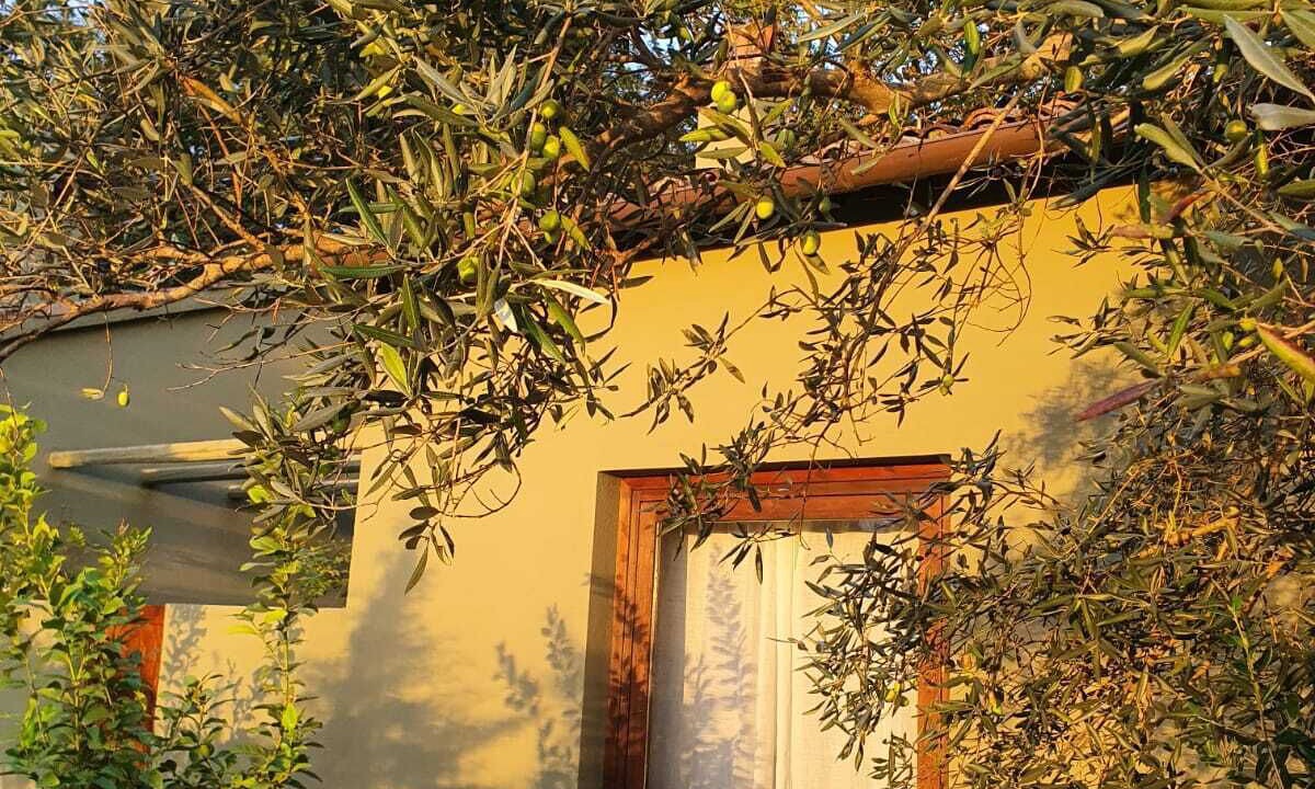 Photo of Outdoor in Melizzano