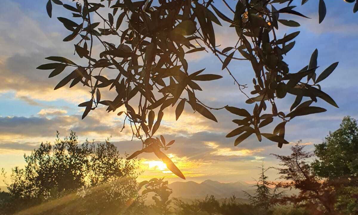 Photo of Outdoor in Melizzano