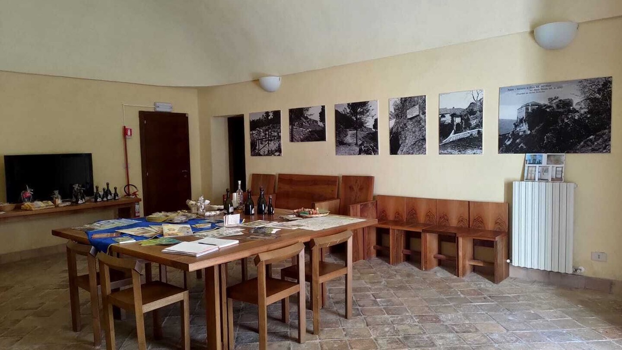 Photo of Others in Palena