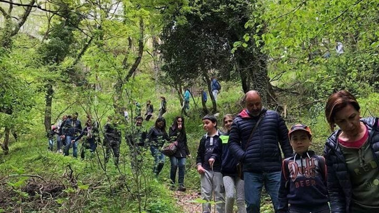 Photo of Outdoor in Palena