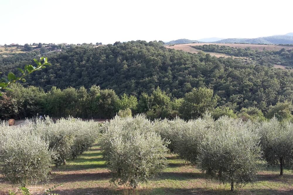 Photo of Outdoor in Marsciano