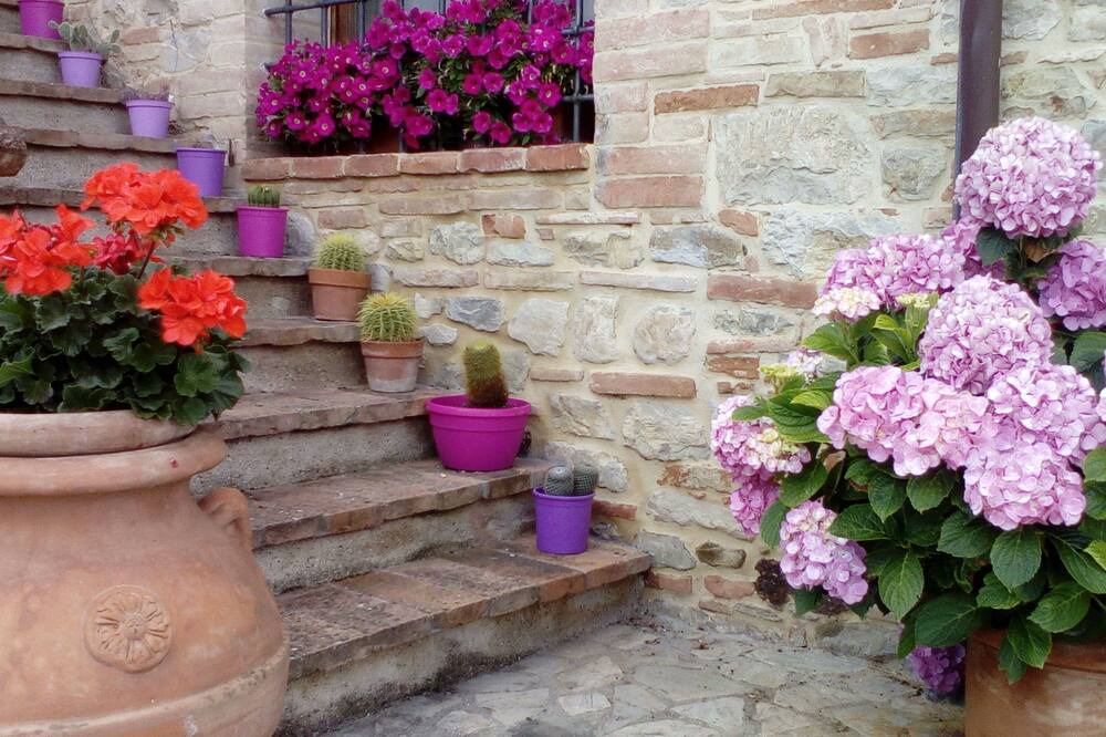 Photo of Outdoor in Marsciano
