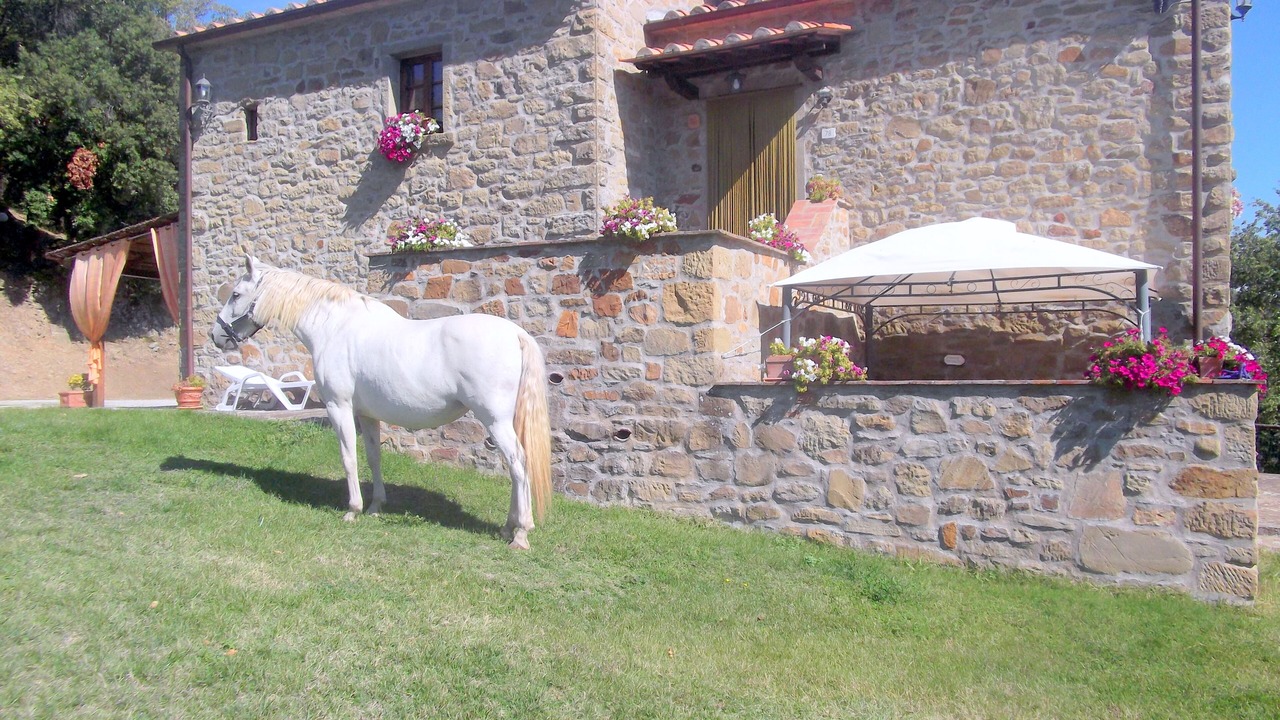 Photo of Outdoor in Pieve di Chio