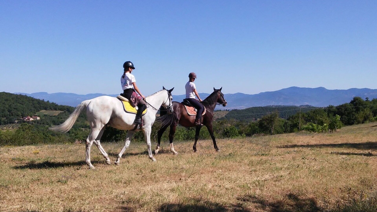 Photo of Outdoor in Monte Santa Maria Tiberina