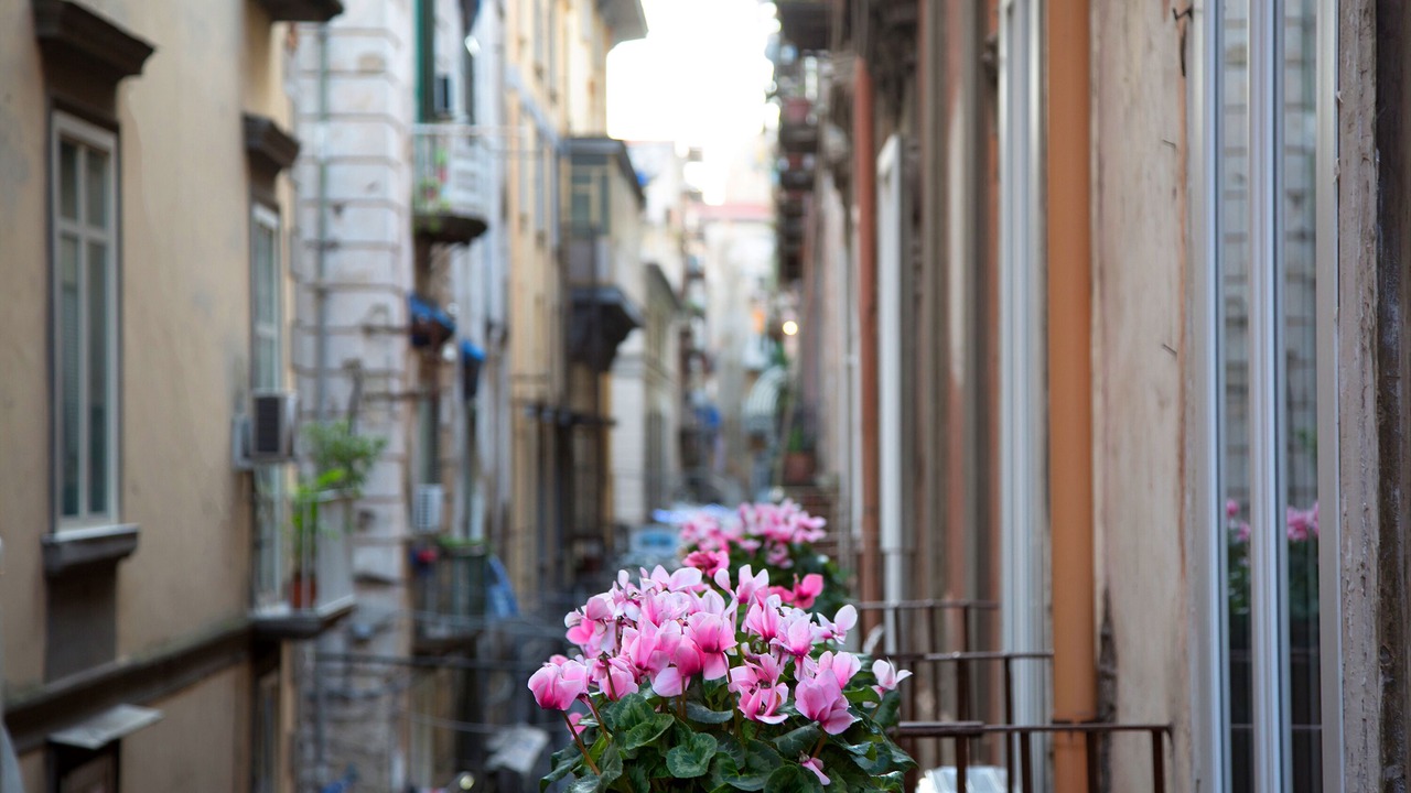Photo of Outdoor in Quartieri Spagnoli