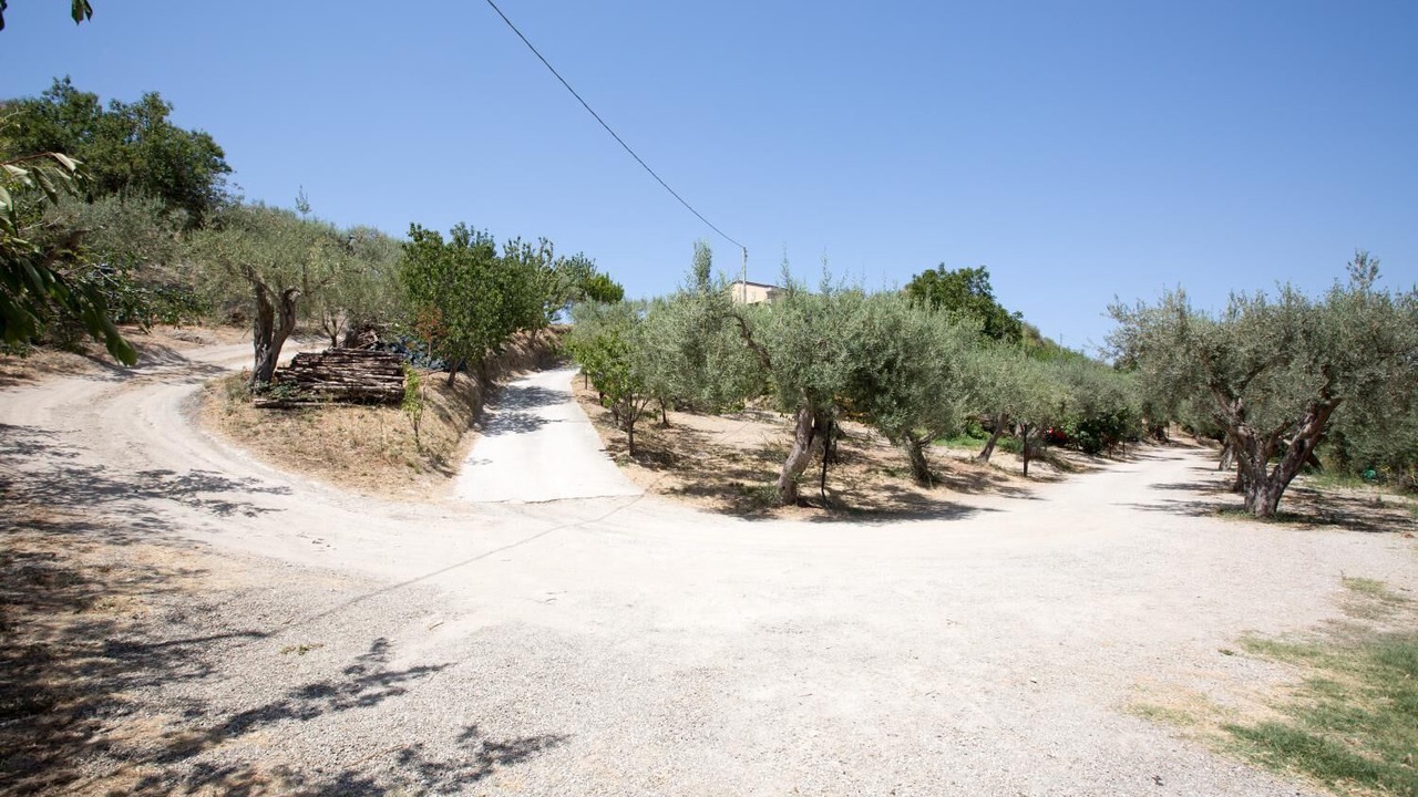 Photo of Outdoor in Patti