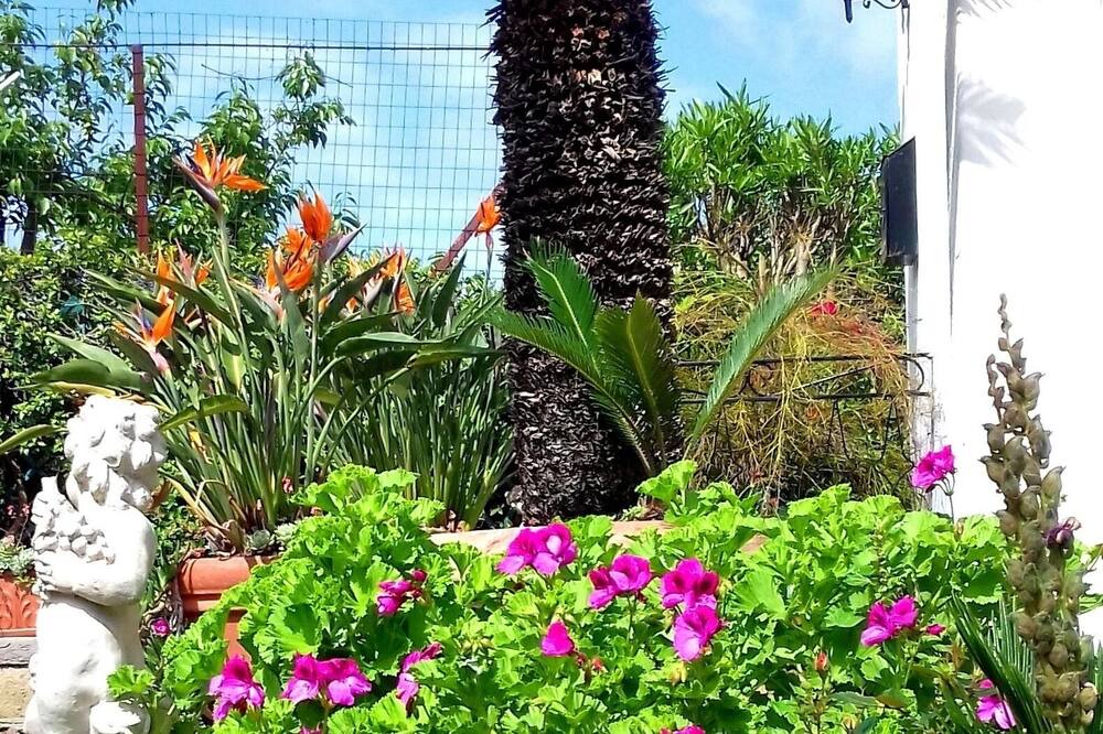 Photo of Outdoor in Barano d'Ischia