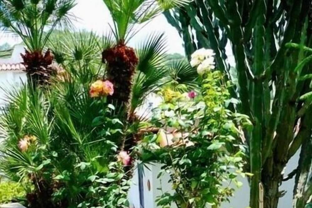 Photo of Outdoor in Barano d'Ischia
