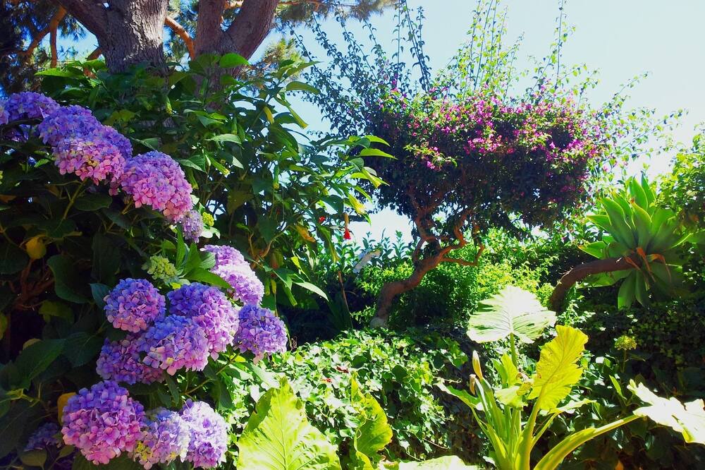 Photo of Outdoor in Barano d'Ischia