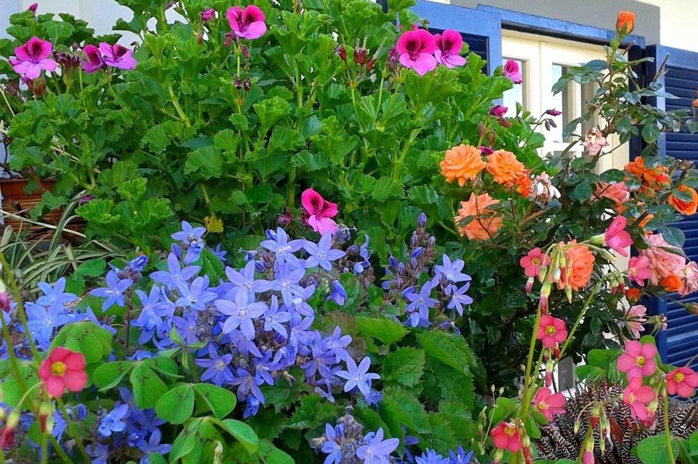 Photo of Outdoor in Barano d'Ischia