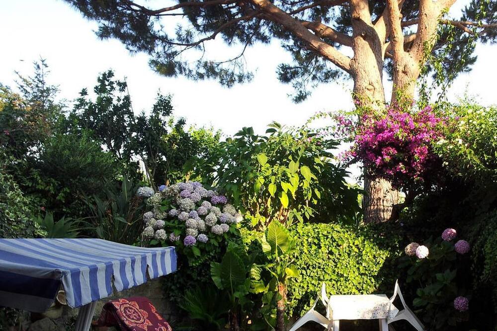 Photo of Patio Balcony in Barano d'Ischia