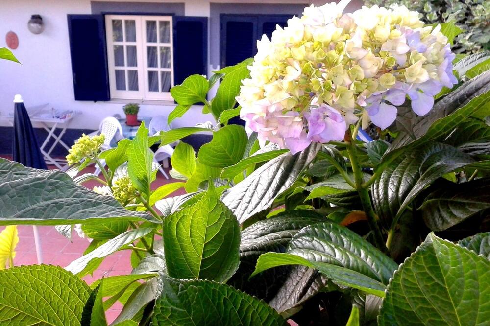 Photo of Outdoor in Barano d'Ischia