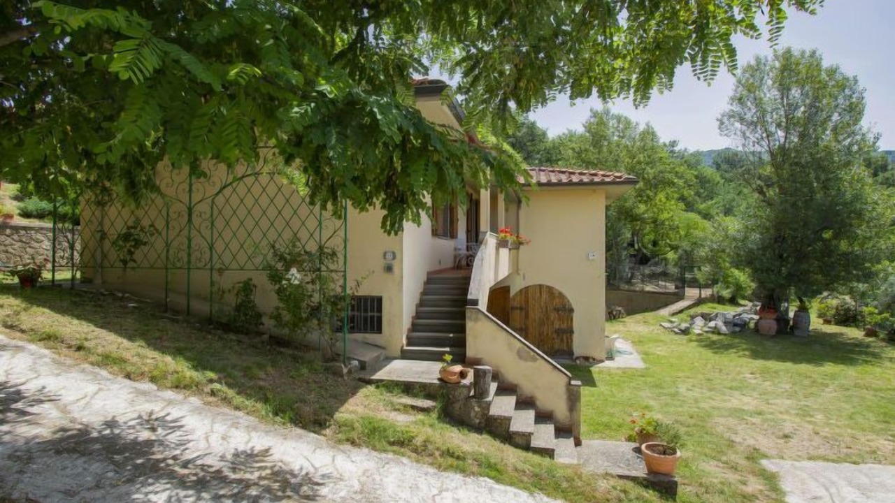 Photo of Outdoor in Scopeti