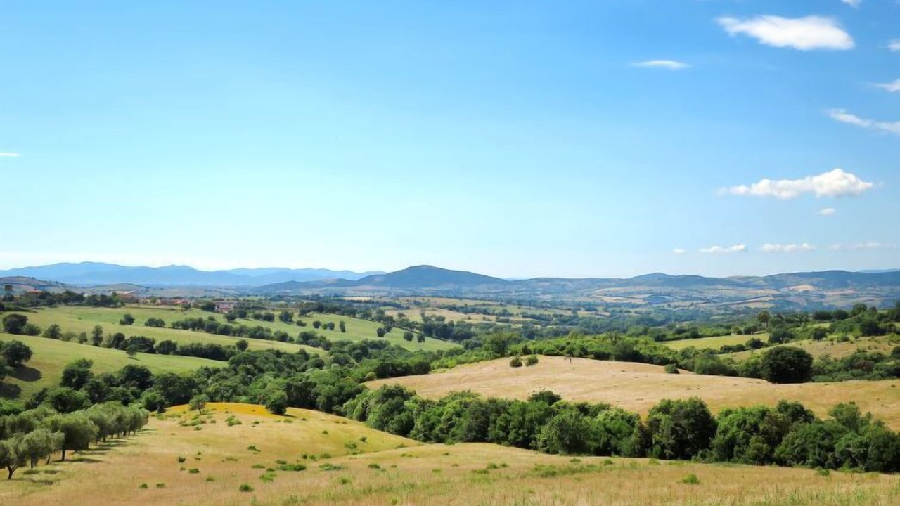 Photo of Others in Scansano