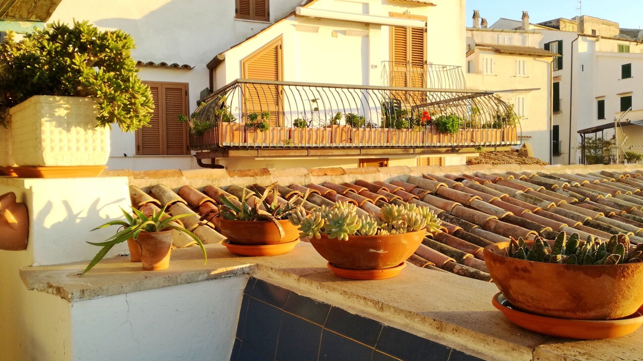 Photo of Patio Balcony in Sperlonga