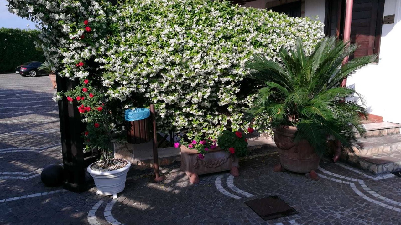 Photo of Outdoor in Lusciano