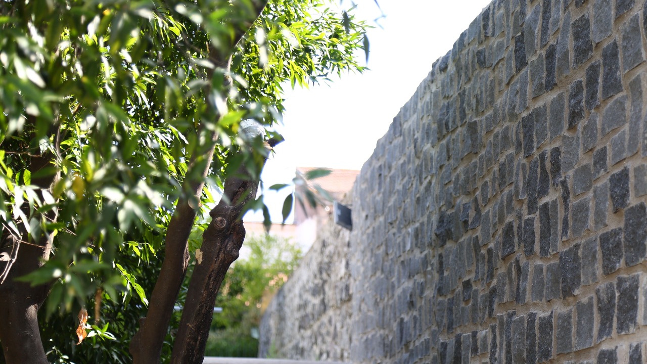 Photo of Outdoor in Terzigno