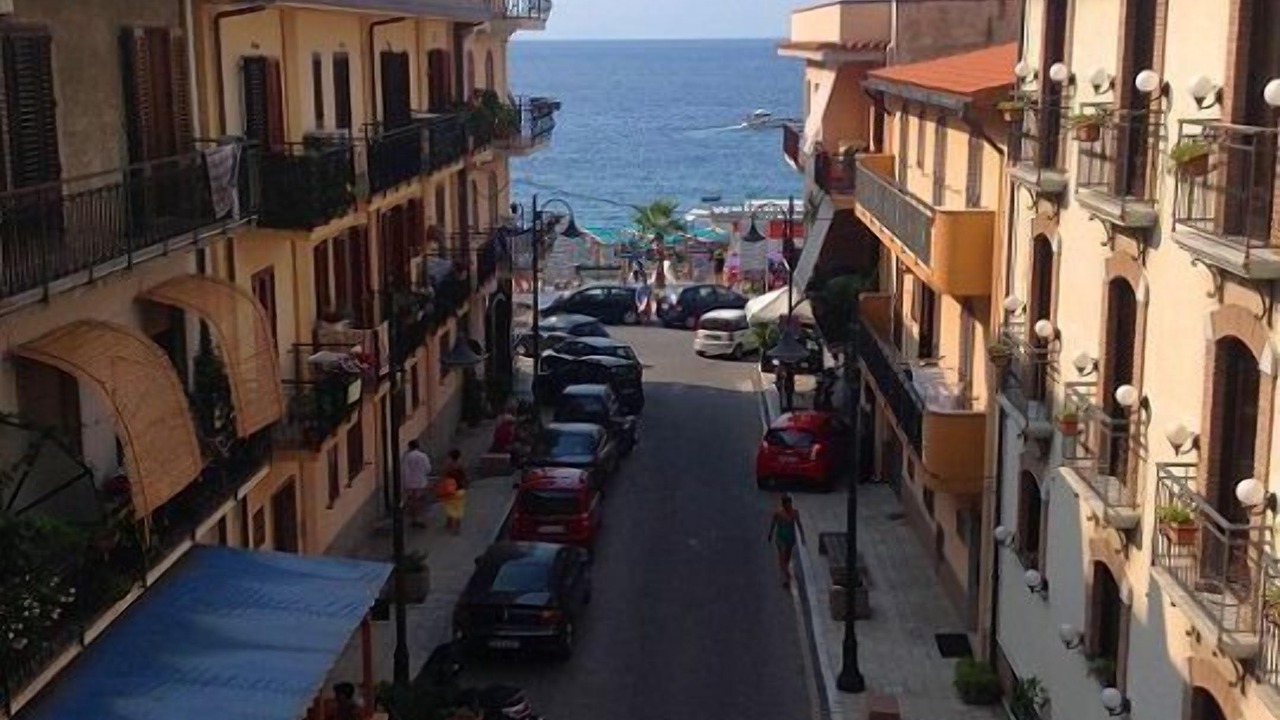 Photo of Others in Scilla