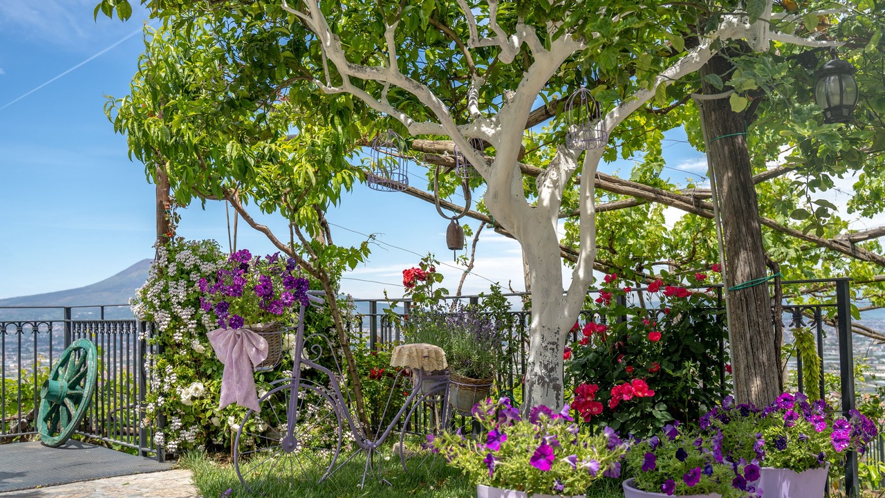 Photo of Outdoor in Sant'Antonio Abate