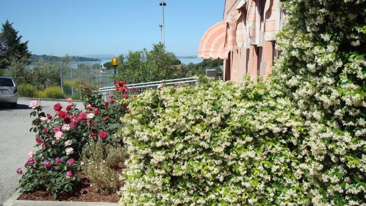 Photo of Outdoor in San Feliciano