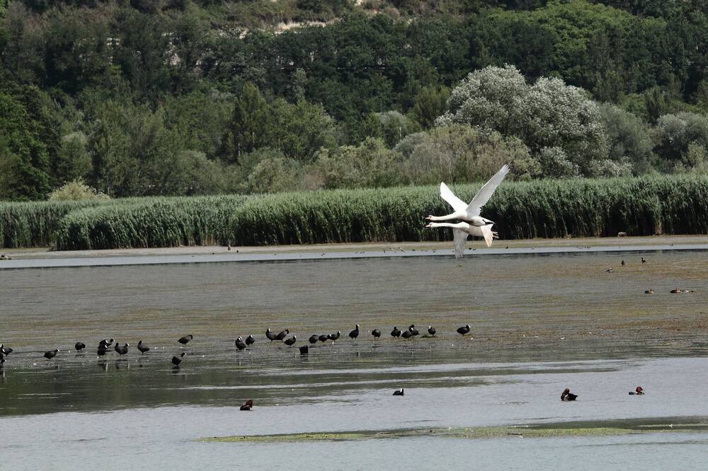 Photo of Others in Montoro