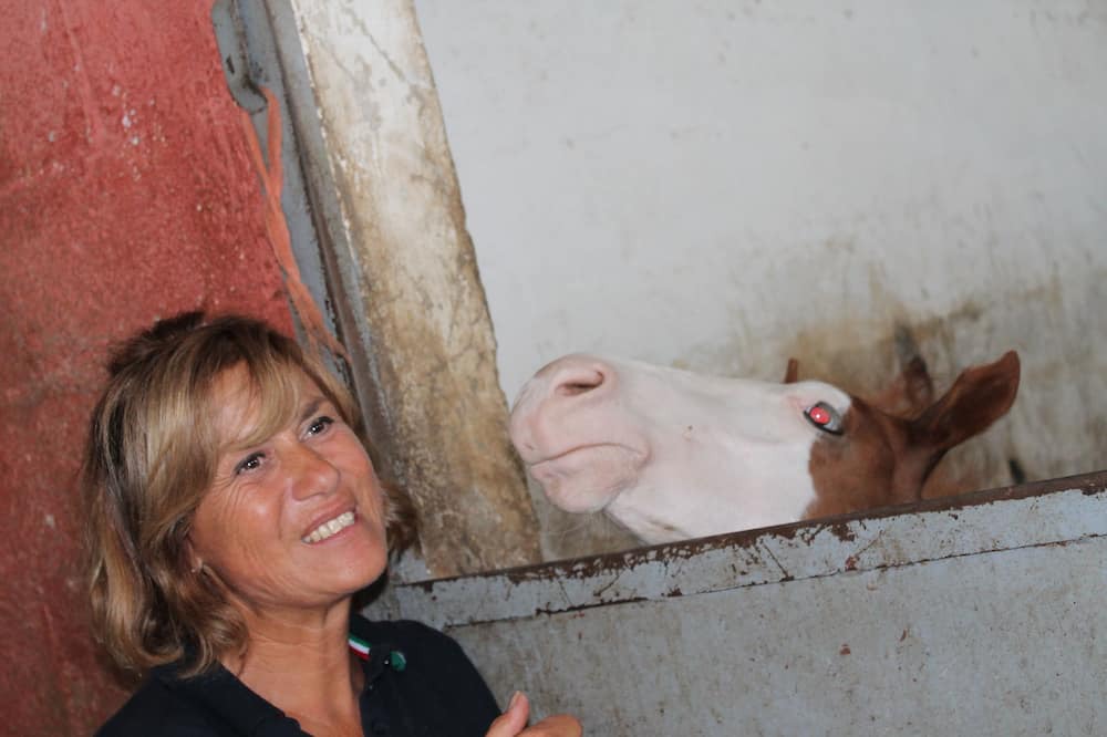 Photo of Others in Montoro
