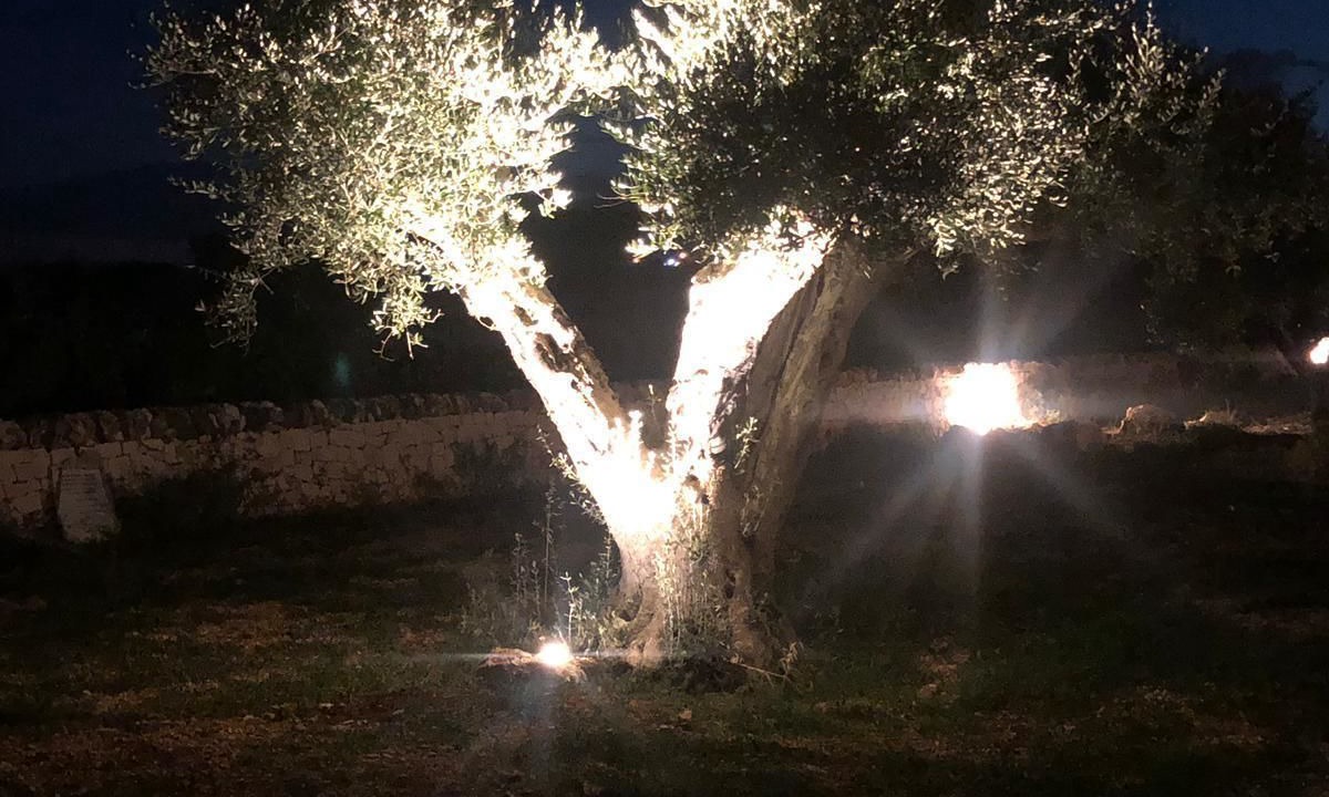 Photo of Outdoor in Locorotondo