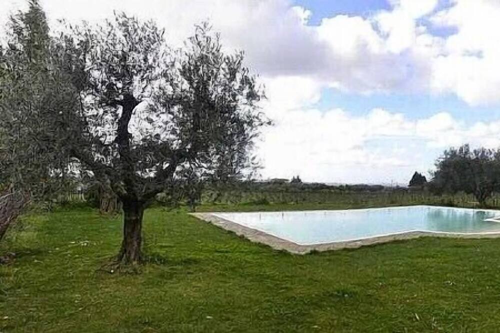 Photo of Outdoor in Padua