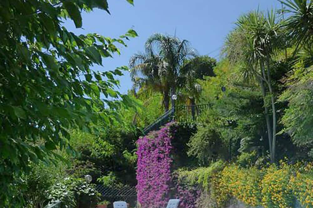 Photo of Outdoor in Raito