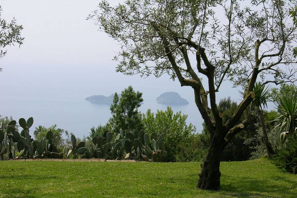 Photo of Outdoor in San Pietro